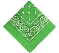 SHOES LANE® Cotton Bandana Paisley Mouth Protection Neckwear Head Scarf Wrap Band (Lime Green)
