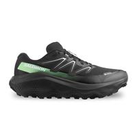 Salomon Ultra Flow 2 Gore-tex® Trail Running Shoes Black EU 44 Men