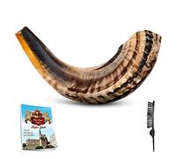 Shofar Horn Instrument - RAM Shofar Angels Musical Instrument - Medium Polished/Natural (Full Set, 18-20")