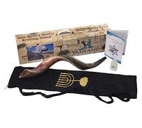 SHOFAR Set Half Polished Half Natural 28"-30" Kudu Horn Yemenite + Bag + Spray + Guide + Carrying Box Case