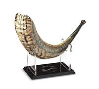 Shofar Zion Kosher ODORLESS Natural Shofar | Rams Horn | Smooth Mouthpiece for Easy Blowing | Made in Israel | Includes Exquisite Stand and Carrying Bag 17”-18