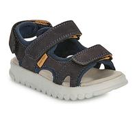 Shoo Pom Flat sandals ROLLY BOY SCRATCH in Marine 10 kid