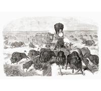 Shooting buffalo on the Kansas-Pacific Railroad line. After a work by an unidentified artist which appeared in the June 3 1871 edition of Frank Leslie's illustrated newspaper. The mass slaughter of