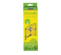 shop inc Pack of 12 Citronella Tealights Candles