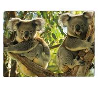 Shopagift Australian Koala Bears in Tree Glass Chopping Board Large Kitchen Worktop Saver 39cm x 28cm