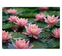 Shopagift Divine Pink Lotus Flowers Glass Chopping Board Large Kitchen Worktop Saver 39cm x 28cm