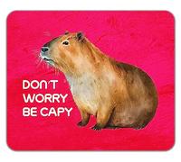 Shopagift Funny Capybara Mouse Mat Pad Don't Worry be Capy Gift 24cm x 19cm