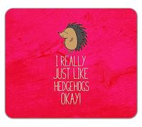 Shopagift Funny Hedgehogs Mouse Mat Pad I Really Like Hedgehogs Okay Gift 24cm x 19cm