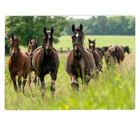 Shopagift Herd of Horses in a Field Glass Chopping Board Large Kitchen Worktop Saver 39cm x 28cm