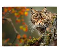 Shopagift Highland Scottish Wildcat Glass Chopping Board Large Kitchen Worktop Saver 39cm x 28cm