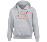 Shopagift I am a Little Mathematician Kids Hoodie Maths Numbers Counting Hoody Hooded Top Boys Girls Grey