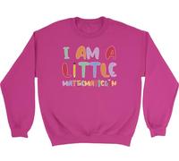 Shopagift I am a Little Mathematician Kids Sweatshirt Maths Numbers Counting Jumper Boys Girls Pink