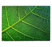 Shopagift Macro Leaf Infrastructure Glass Chopping Board Large Kitchen Worktop Saver 39cm x 28cm