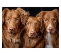 Shopagift Nova Scotia Duck Retriever Glass Chopping Board Large Kitchen Worktop Saver 39cm x 28cm