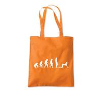 Shopagift Reasons to Evolve Evolution Tote Shopping Beach Bag 10 Litres Capacity - 42cm x 38cm