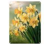 Shopagift Welsh Flowers Daffodils Metal Poster Wall Tin Sign Man Cave Shed Bar Bedroom Home Kitchen - A3