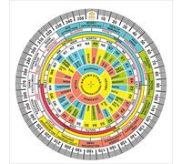 SHOPERTUNITI University in a book Vaastu Essentials Shakti Chakra with Carrying Case Plastic Yantra Multicolored 6 Inches (Pack of 1)