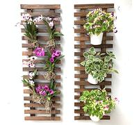 ShopLaLa Wall Planter - Hanging Planter for Indoor Plants, Plant Stand, Air Plant Succulent Holder, Vertical Garden. Large Wall Decor for Living Room, Room Decor for Teens