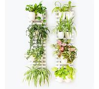 ShopLaLa Wooden Wall Hanging Planter - 2 Pack Wall Plants Holder for Flower Pot Indoor Outdoor Large Rustic White Wood Vertical Herb Garden System Boho Countryside Theme Decor 47.2" (120cm)