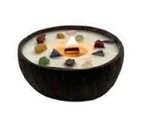 SHOPOGENIE Natural Handmade Coconut Shell Candle | Scent Coco Vanila | 7 Chakra Crystal | 100% Soy Wax | CAN002