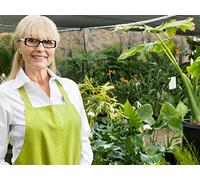 Shopping for the Best Trees and Shrubs