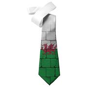 ShopQuality4U Welsh Old Broken Wall Flag design Mens Printed Neck Tie - Polyester - Great Gift - Half Tie Print