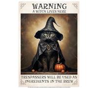 Shopsharks Halloween Party Decorations Wall Art Poster - Trick or Treat Indoor & Outdoor Scary Print - 11 Designs - Black Cat, Haunted House, Pumpkin Spice, Wicked Witch (Witch Lives Here - No Frame)