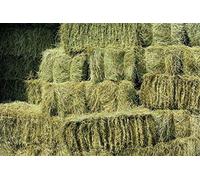 Shorefields Fresh Meadow Hay - Animal Feeding Hay Bale for Rabbits, Guinea Pig, Horses, Hamsters, Ponies - Nutritious Grasses & Wildflowers Blend - Green & Dust Free