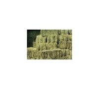 Shorefields Fresh Meadow Hay - Animal Feeding Hay Bale for Rabbits, Guinea Pig, Horses, Hamsters, Ponies - Nutritious Grasses & Wildflowers Blend