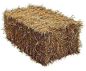 Shorefields Wheat Straw Full Bale 15-18kg- Animal Bedding for Horses, Rabbits, Guinea Pig - Low Dust Full Straw Bale - Comfortable & Soft Bedding for Pets