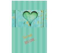 Short book BIG LOVE: Journal for couples/ gratitude journal/ exercises for couples