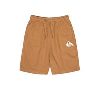 Short Child Quiksilver Easy Day Marron 10 ans