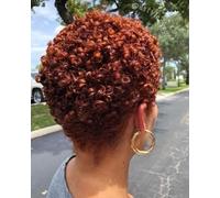 Short Curly Pixie Wig, Auburn Red Brown Hair Synthetic Heat-Resistant Fibre, Afro Curly Hair Wigs for Women Female Wig Curly Hairstyles Short