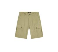 Short Dickies Millerville Vert 28