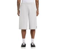 Short Dickies Streetsboro 13" Gris S