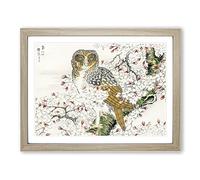 Short Eared Owl & Cherry Flower By Numata Kashu Asian Japanese Framed Print | A3 Oak Framed Wall Art | Ready to Hang | Asian Floral Picture | Living Room Bedroom Lounge Office