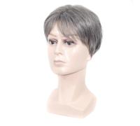 Short Grey Silver Wig for Men Halloween Fashion High Temperature Fiber | Realistic Look with Bangs, Comfortable Breathable Feel, White Color, Suitable for Parties and Daily Wear