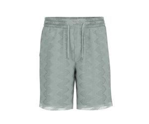 Short Guess Lattice Vert L