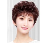 Short Hair Wigs,Real hair full head cover,Natural fashion middle-aged and elderly wig,for Women Cosplay Wig,Fashionable fluffy micro roll (Dark Brown)
