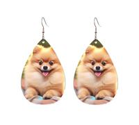 Short-Haired Pomeranian Acrylic Hoop Earrings For Women Teardrop Dangle Earrings Lightweight Fashion Jewelry Gifts Outfits Accessories For Women Ladies