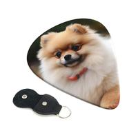 Short-Haired Pomeranian Dog 6 Pack Guitar Picks With Holder, Personalized Guitar Plectrums Non-Slip Portable Ukulele Bass Picks 0.46mm For Acoustic Guitar Lovers Gifts