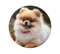 Short-Haired Pomeranian Dog Button Pins 5 Pcs, 2.4 Inch Round Button Badges Metal Personalized Picture Photo Pin Buttons Kit For Craft Supplies Christmas Diy Party Projects