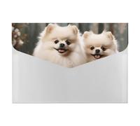 Short-haired Pomeranian Dog File Folder, 6-Pocket Expanding Accordion Folder with Snap Closure, Waterproof Document Organizer for Home, Office & Travel
