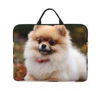 Short-haired Pomeranian Dog Laptop Case 14 Inch Laptop Sleeve Computer Carrying Bag Shockproof Protective Notebook Case Portable Laptop Bag Waterproof Briefcase Bag for Men Women