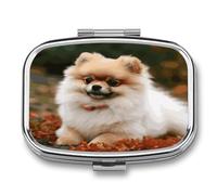 Short-haired Pomeranian Dog Pill Box 2 Compartment Small Square Pills Case Portable for Pocket Pill Organizer Travel Metal Pill Holder for Office Home Vitamin Medicine Fish Oil