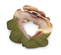 Short-haired Pomeranian Satin Scrunchies Elastic Hair Bands Exquisite Soft Jumbo Scrunchy Thick Fashion Hair Ties Cute Satin Hair Scrunchies for Women Hair Accessories Gift