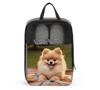 Short-haired Pomeranian Shoe Bag Travel Shoe Organizer Water-Resistant Shoe Pouch with Zipper Sneaker Dust Bag, gray, One Size, Modern