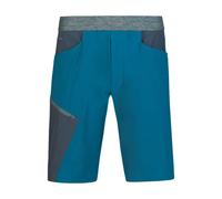 Hannah Torres Shorts Blue 2XL Men