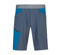 Hannah Torres Shorts Blue 2XL Men
