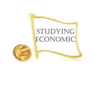 Short Phrase Studying Econocs Golden Metal Flag Lapel Pin Badge